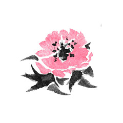 Pink flower watercolor hand drawn illustration. Hibiscus blossom with leaves isolated on white...