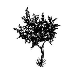 Tree black ink silhouette vector illustration. Traditional Japanese style watercolor drawing. Botanical design element isolated on white. Stylized hand drawn tree silhouette with black paint splashes