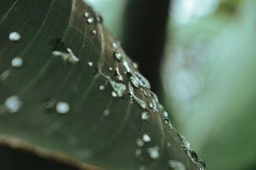 Gotas de lluvia