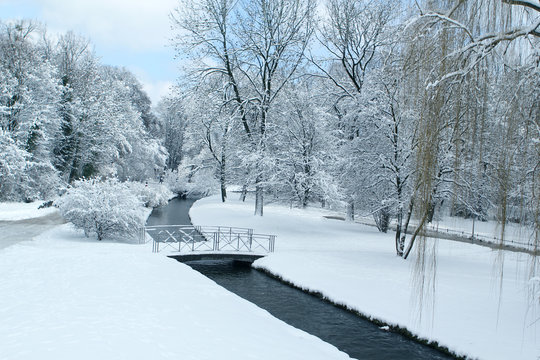 beautiful winter landscape with snowy trees in a park by a winding Isar river in Munich