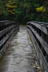 Walking bridge located at the beautiful Babcock State Park in West Virginia.
