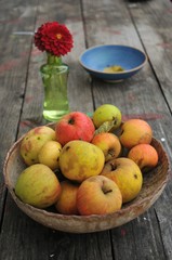 Gesund Bioäpfel in einer Schale