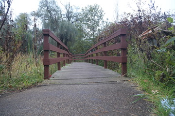 Nature and Bridge