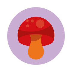 fungus autumn nature isolated icon