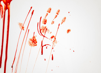 blood splatter   crime or victim concept