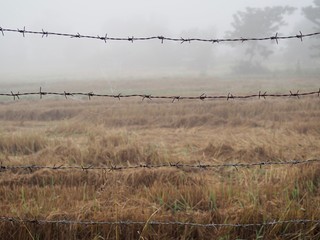 Bench of barbled wire to protect intruder outside the farm.