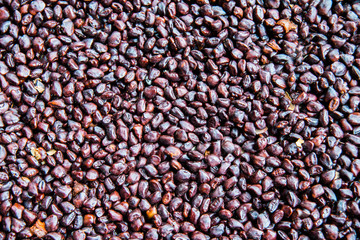Closeup tamarind seeds reddish brown. Bring to dry in the sun for storage.Many black tamarind seeds lay on the ground.dry seeds of tamarind.For the wallpaper.
