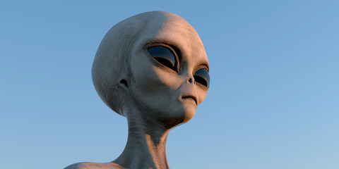 Grey Alien extremely detailed and realistic high resolution 3d illustration of an extraterrestrial being © Sasa Kadrijevic