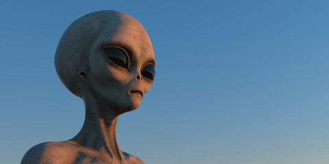 Grey Alien extremely detailed and realistic high resolution 3d illustration of an extraterrestrial being © Sasa Kadrijevic