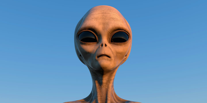 Grey Alien extremely detailed and realistic high resolution 3d illustration of an extraterrestrial being