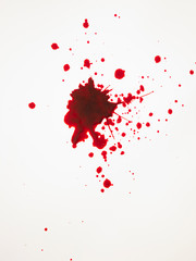 blood splatter   crime or victim concept