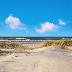Fototapeta na wymiar Sand dunes with grass and shrubs protecting beach from the storms in Hiddensee island in Germany. Panoramic image, square composition