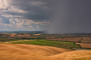 View of lush nature of the Crete Senesi, Asciano, Italy