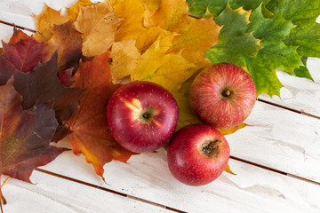 Apples over different color autumn leaves