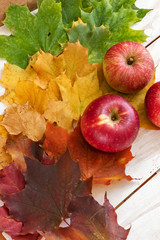 Apples over different color autumn leaves