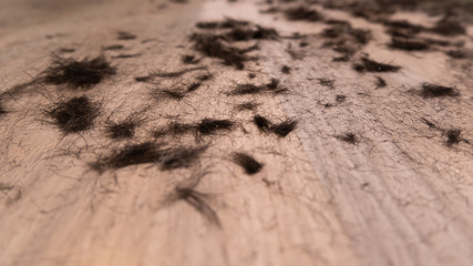 Close up of hair on the floor of barber shop after haircut, low angle.