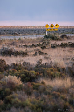 Nullarbor Road Sign