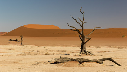 Fototapeta na wymiar Sossusvlei, Namib Desert