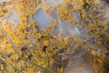 Some of the many colors in soutwestern Agate.