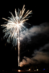 Firework lights in the dark sky