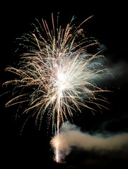 Firework lights in the dark sky