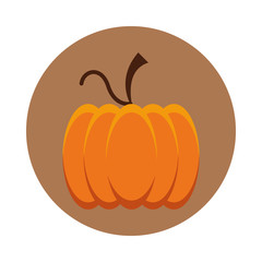 thanksgiving pumpkin vegetable isolated icon