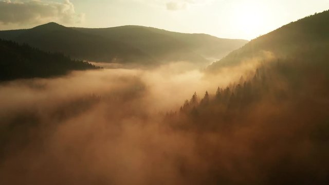 Misty dawn in the mountains. Beautiful landscape