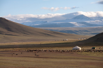 Nomad yurt in the mountain valley of Central Asia