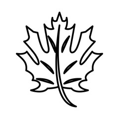 thanksgiving leaf plant autumn icon