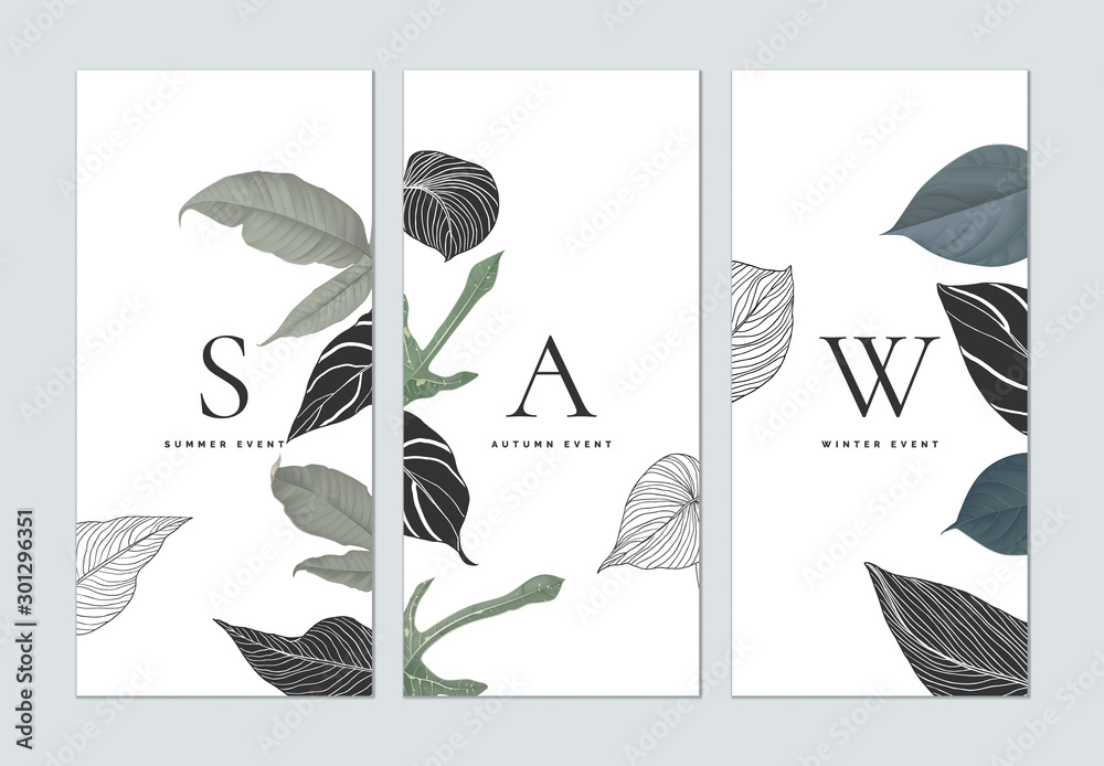 Wall mural set of botanical brochure cover template design, collage of various leaves on white