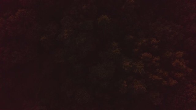 Aufschwenk an einem Wald vor einem Strand zur Ostsee zum Sonnenuntergang