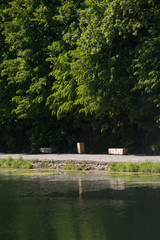 Obraz premium Lake in the park on a summer day with trees in the background.