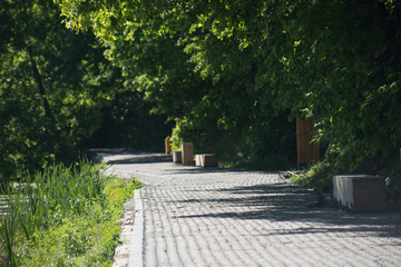 Fototapeta premium Footpath in a summer park among the trees.