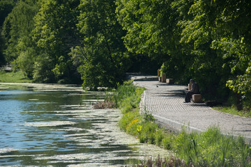 Lake in the park on a summer day with trees in the background.