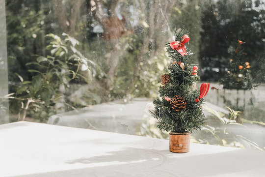 Little Christmas tree on the table