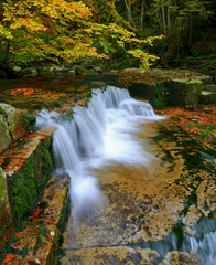 Fotobehang Bos rivier Waterfalls cascade in autumn forest. Beautiful colors of nature  © pettys