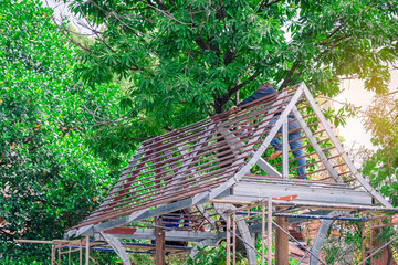 Welder and painter are helping to build a gable roof structure below a large mango tree.