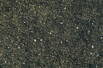 brown soil on the ground as texture and background.