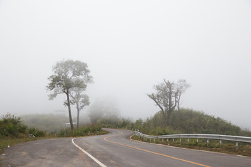 Fototapeta premium local road with fog in the morning
