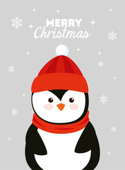 merry christmas poster with penguin vector illustration design