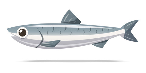 Naklejka na ściany i meble Anchovy fish vector isolated illustration