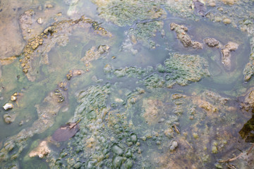 hot spring in thailand