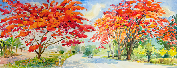 Aquarelllandschaft des Pfauenblumenbaums am Straßenrand malen. © Painterstock