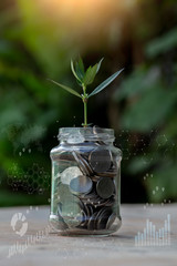 Plant Growing In Savings Coins, Saving money and investment concept.