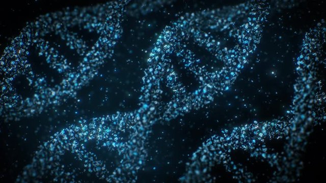 Three  slowly rotating DNA helixes. Made from particles of binary code.