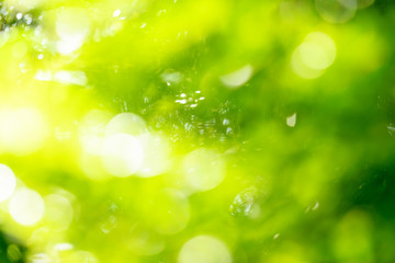 Fototapeta na wymiar natural green bokeh abstract background,blurred textured