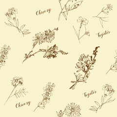 Seamless pattern with Wild Flowers with Summer Botanical Sketches - 301310351