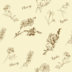 Fototapeta premium Seamless pattern with Wild Flowers with Summer Botanical Sketches