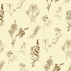 Seamless pattern with Wild Flowers with Summer Botanical Sketches - 301310368