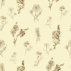 Seamless pattern with Wild Flowers with Summer Botanical Sketches - 301310376